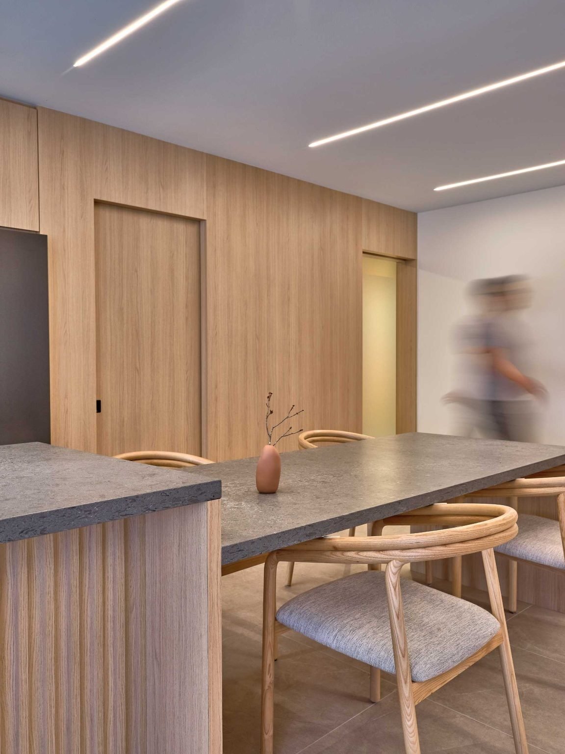 Detail of the minimalist timber cabinetry and concealed storage entry