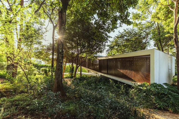 Ascendente House / TETRO Arquitetura - التصوير الخارجي، الغابة، الحديقة